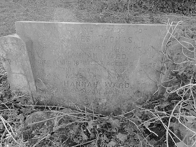 James Ward headstone