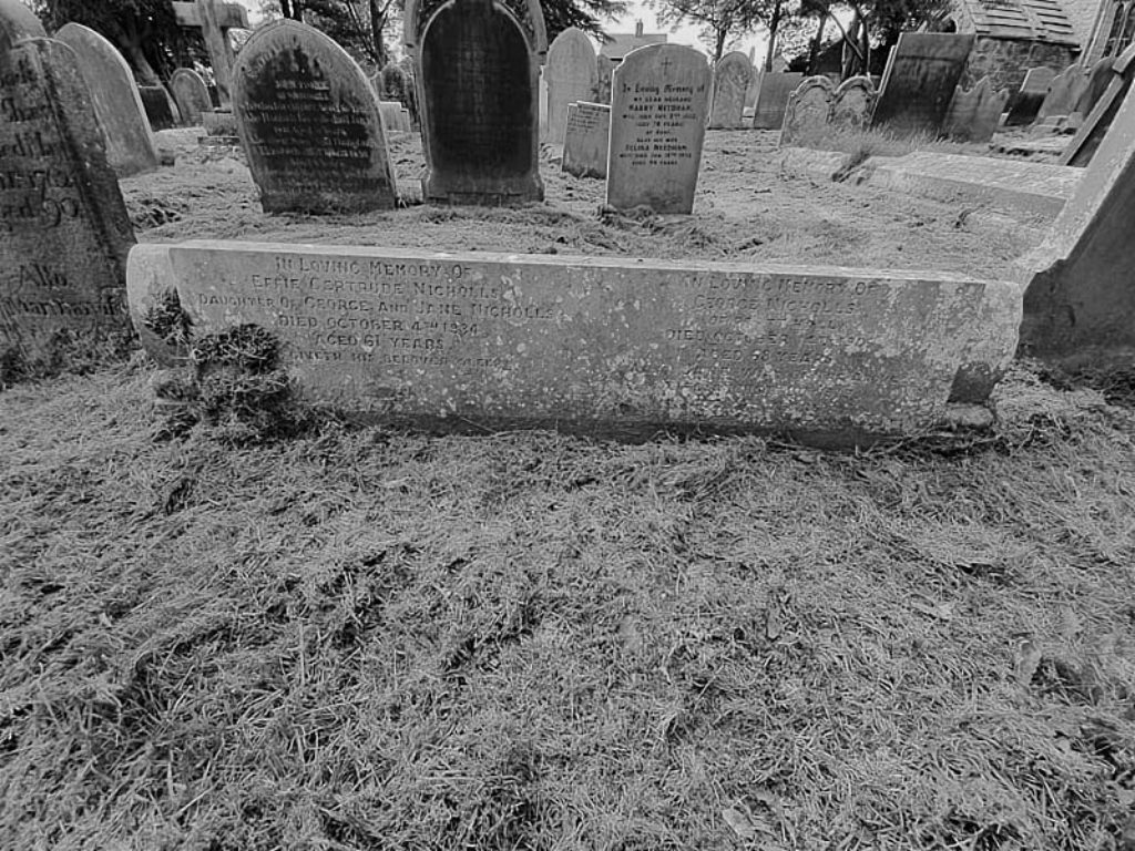 George Nicholls memorial