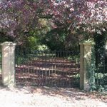 Kelvedon Churchyard